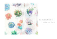 Pegatinas de Scrapbooking Kawaii de Plantas Succulentas en PVC Transparente 6 Hojas/Paquete Decoración para Diario y Papelería de Marca nbyinto - details 3