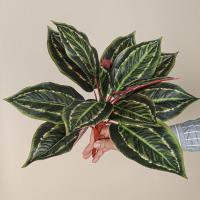 13 hojas artificiales de Scindapsus, elegantes y realistas hojas de plantas verdes falsas, plantas grandes de plástico simuladas - details 7