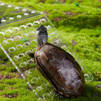 Plataforma de Baño de Tortuga Flotante rampo acuático de reptil con cierre telescópico ajustable - details 1