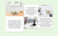 PLANTA