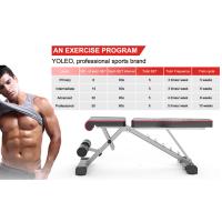 Programa de Ejercicio