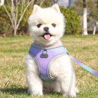 Juego de arnés y correa reflectantes ajustables para mascotas, perros pequeños y medianos, arnés de paso con Material suave y transpirable - details 3