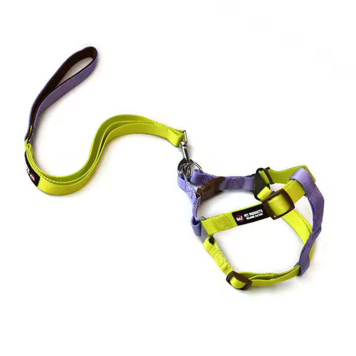 Correa para mascota, collar de correa, cadena para perro, correa de pecho a juego de colores - 1