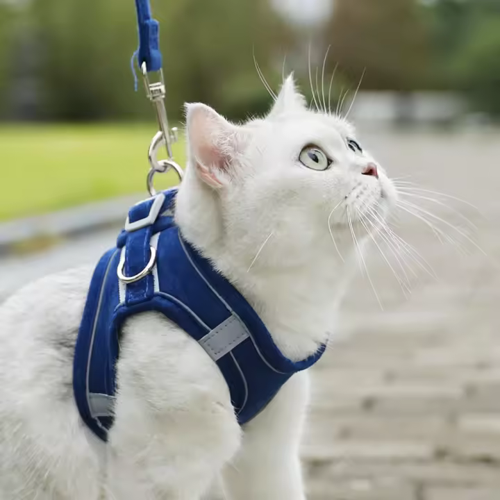 Cuerda para caminar para perros, correa reflectante para el pecho para mascotas, chaleco con arnés para gatos antiescape transpirable, cuerda de tracción ajustable para perros sin tirones, viaje - 1