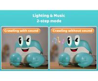 Crawling crab4