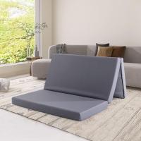 Espuma viscoelástica plegable para invitados, firmeza media, 75 x 195 x 10 cm, con funda, gris - details 1