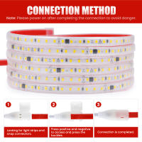 Tira de LED Adhesiva 220V IP67 Impermeable Strip Light con Interruptor SMD 2835 120 leds/m corte 10 CM - details 5