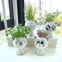 ETA de cerámica con mini gato, hermosas plantas de dibujos animados, ETA de escritorio, juguetes decorativos de bricolaje, educación científica, regalo escolar, 1 pieza. - details 0