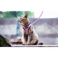 Arnés y correa para gatos para caminar, chaleco ajustable suave a prueba de escapes para gatos, chaqueta con tiras reflectantes transpirables - details 0
