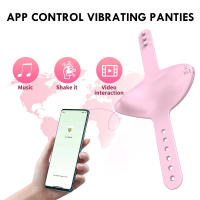 Bragas vibradoras portátiles para mujeres, consolador, Juguetes sexuales, Bluetooth, orgasmo, inalámbrico, Control por aplicación, tienda sexual para parejas - details 0