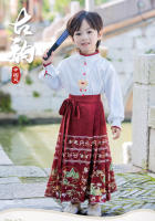 Conjunto de Falda Hanfu para Niñas Otoño 2025 Traje de Estilo Chino Antiguo para Actuaciones de Recitación Zapatos y Ropa - details 34