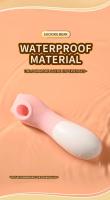 Juguete sexual femenino, succionador de clítoris, vibrador con carga USB, diez bandas vibradoras de clítoris, productos impermeables para adultos, succionador de clítoris, tienda de sexo. - details 2
