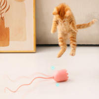 Bola de juguete interactiva para gato, juguete con cola larga para gatos y gatitos, suministros para mascotas - details 5