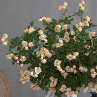 Rama de flor de Rosa Artificial de 65cm, flor de Rosa de imitación de plástico de tacto Real, flores falsas elegantes hechas a mano, decoración para el hogar y la Oficina - details 5