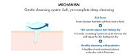 PRO BALANCE FOAM