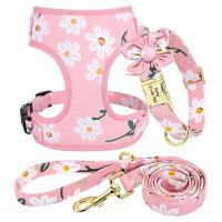 Collar personalizado perros pequeños y grandes, arnés transpirable con grabado Floral, bolsa para golosinas, 3 o 4 unidades - details 13