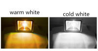 LED COB Hight Power 50W AC 220V Red Blue Green Lamp Chip Smart IC Fit For DIY Driverless Integrated Driver For Flood Light - details 9