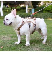 Correa Reflectante de Nylon para Perros Chaleco Oxford con Ventilación 3D, U-Collar Antiasfixia, Correa Ajustable 1.5m, Tallas M-L (Hasta 22kg) - details 14