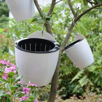 Planta de plástico, absorción de agua automática creativa montada, flores para el hogar, ETA para decoración de paredes - details 2