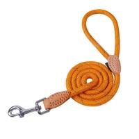 Productos mascotas, perro, reflectante nailon cachorro, cuerda gato, Chihuahua, conjunto correa Collar mascota, correas para - details 13