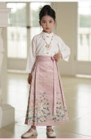 Falda Ma Mian Hanfu conjunto mejorado estilo chino antigua dinastía Ming disfraz Tang verano para niños - details 13