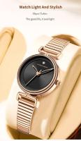 Premium lujo 2025 nuevo reloj de mujer marca superior ocio moda 29mm Mini esfera correa de malla de acero inoxidable nórdico Simple 3Bar relojes impermeables - details 1