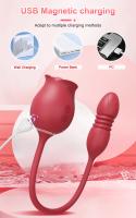 Succionador de clítoris de juguete rosa para mujer, vibrador de punto G, estimulador de vacío, succión de clítoris, productos para adultos, Juguetes sexuales femeninos - details 6