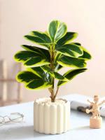 Pequeña Planta Hoya Artificial en Forma de Corazón Falsas Piñas Jugosas - details 4