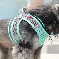 Correa reflectante para perros y gatos Set de correa de pecho transpirable duradero para paseos al aire libre Adecuado para perros y gatos pequeños y medianos - details 5