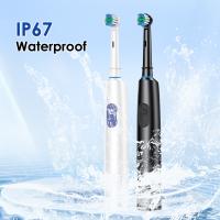 Cepillo de dientes eléctrico giratorio recargable para adultos, limpiador de dientes blanqueador giratorio con 4 cabezales de repuesto - details 7