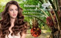 batana oil for hair growth