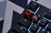 ECHOME Anime Keycap Set - Teclas personalizadas con arte original de Kitsune Perfil Cherry para teclados mecánicos Kits HOT KEYS HKP Accesorios Gaming Artesanales con diseño exclusivo. Compatibles con teclados estándar, ideales para jugadores y coleccioni - details 4
