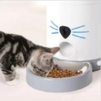 comedero automatico gato; comedero gato; comedero wifi gato; comedero camara gato; comedero foto