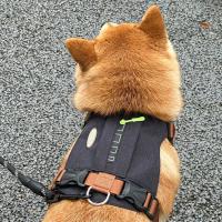 Arnés para perros transpirable y duradero, ajustable con bolsillos con cremallera, chaleco para mascotas, impermeable, reflectante, pecho para perro, caminar con el perro - details 3