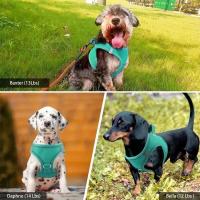 Correa de Mango Suave y Transpirable con Cinturón de Nylon Duradero Conjunto de Arneses para Mascotas para Maximo Confort - details 6