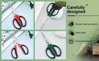 Tijeras de Podredumbre Bonsái Profesionales Cortes de Acero Inoxidable y Acero de Carbono - details 1