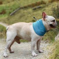 Collar de Hielo de Verano para Perros Collar Fresco Instantáneo con Agujero para Correa - details 11