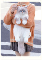 Muñeca de Celebridad de Internet Linda Muñeca de Peluche de Gato Montés de Café - details 5