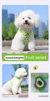 Arnés para mascotas con diseño de zanahoria, correa para el pecho, para perros pequeños y medianos - details 9