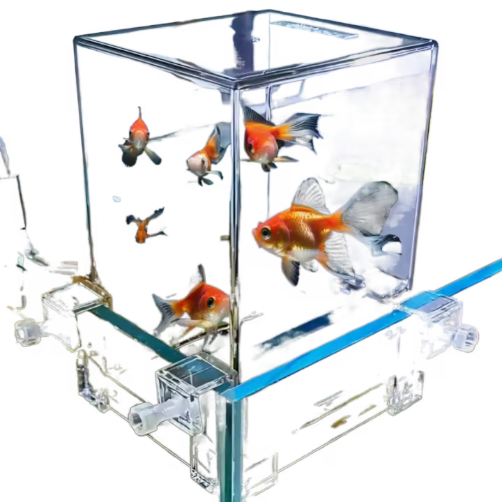 Elevador de peces de espacio más grande, práctica observación, acrílico, acuario invertido, extensor aéreo de presión negativa, pecera para el hogar - 1
