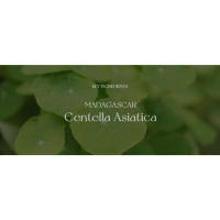 SKIN1004 Ampolla Facial de Centella Asiática de Madagascar 100 ml (3.38 fl.oz) - details 11