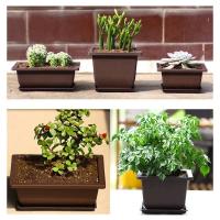 ETA de plástico de entrenamiento rectangular con bandeja de drenaje, cultivo de plantas bonsái jugosas ETA, decoración del hogar - details 8