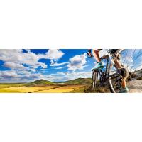 soporte 4 bicicletas suelo