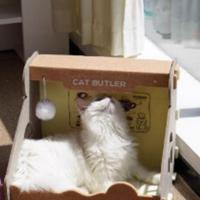 Nido de gato de fieltro de seguridad multifunción, casa para gatos semicerrada, no ocupante, plegable, resistente a los arañazos, caja de papel para cachorros - details 11