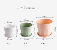 Maceta de plástico para interiores, maceta para plantas jugosas - details 2