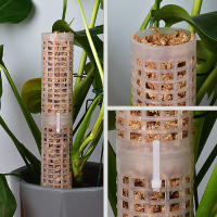 Columna de escalada de plantas, poste de musgo Sphagnum, soporte de cultivo de plantas, soporte de retención de agua, palo de extensión de plantas rico en fertilizante - details 9