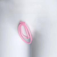 Empaquetado privado Sexy Fufu Clip Strap Sissy Cage, Material ABS Flexible Clamp Trainer para Jaula de Castidad Masculina con Cinturón 18+ - details 2
