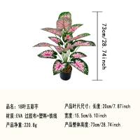 Sala de estar de estilo nórdico, simulación de plantas verdes, taro colorido, plantas en macetas, plantas falsas, flores decorativas falsas - details 4