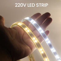 Tira de luces LED de retroiluminación, cinta Flexible de 220V, SMD5730, 68LED/M, impermeable, con enchufe europeo, blanco frío y cálido - details 5