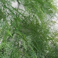 Planta de helecho colgante Artificial de 90cm, hojas de plantas verdes realistas de plástico, plantas colgantes falsas elegantes, fiesta de vacaciones y boda - details 11